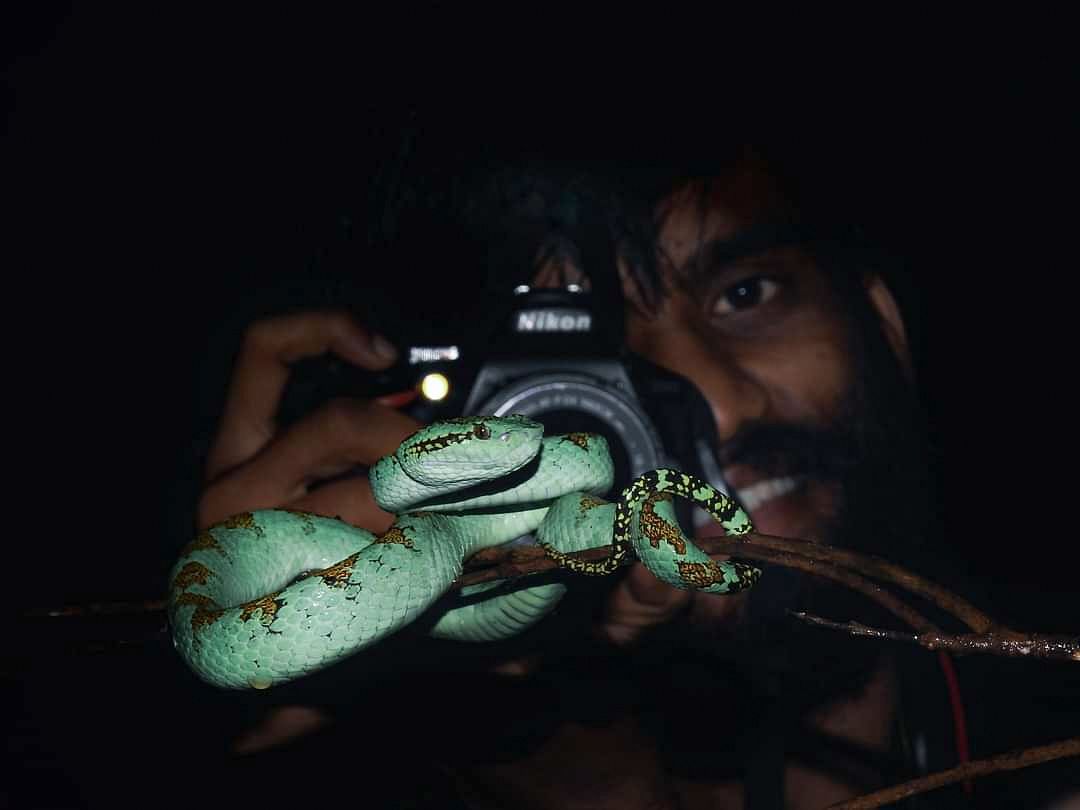 Vishwanath takes a picture of the Malabar pit viper.
