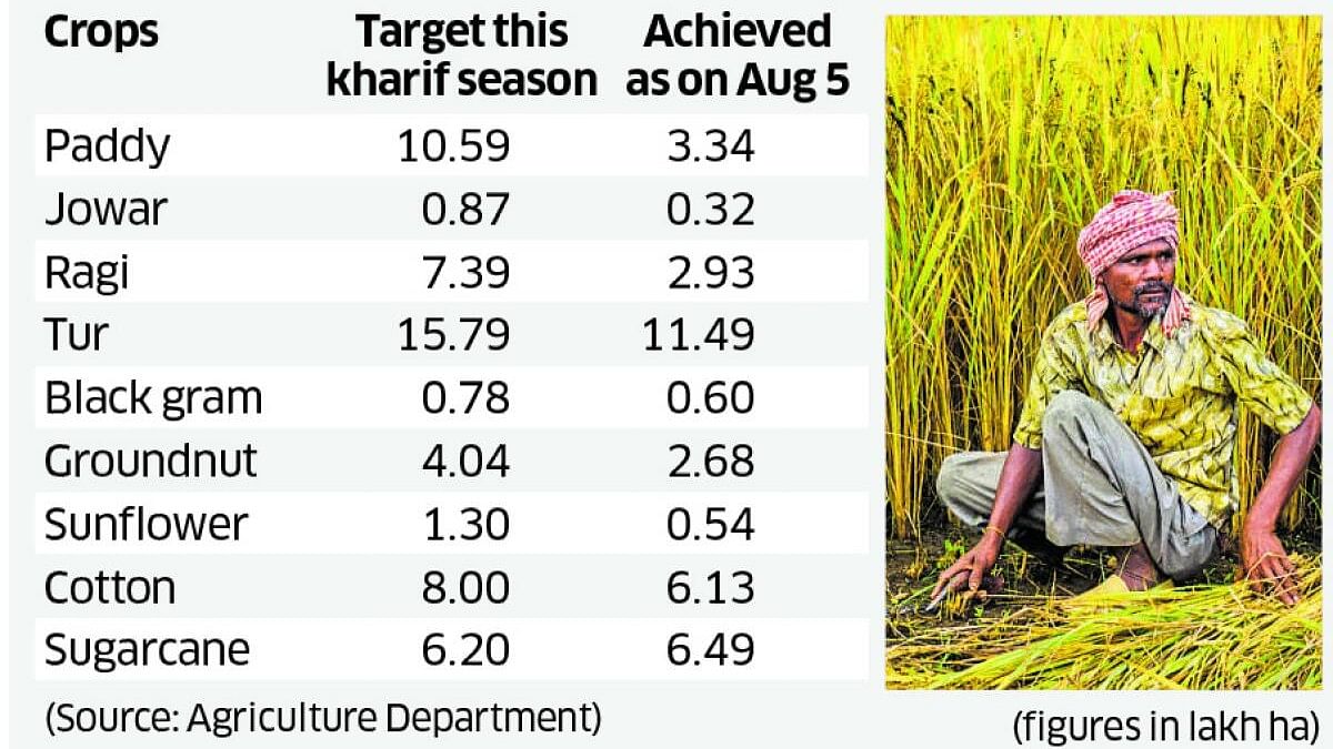 Karnataka: Low crop yield due to poor rain to upset kitchen budget
