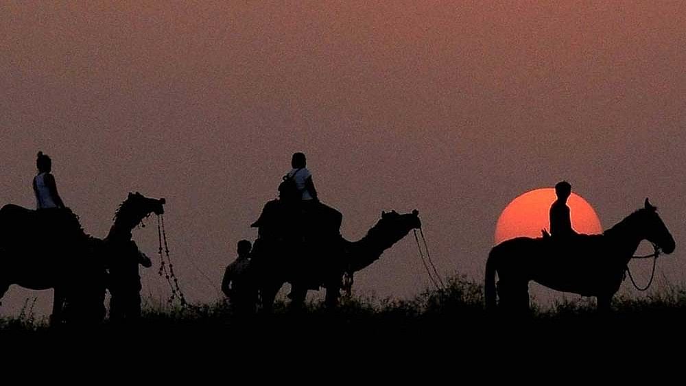 Climate change may turn Thar Desert green by century's end: Study