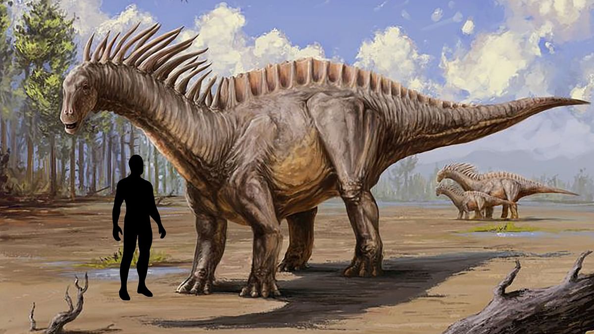 Tharosaurus indicus, new plant eating dinosaur found in India