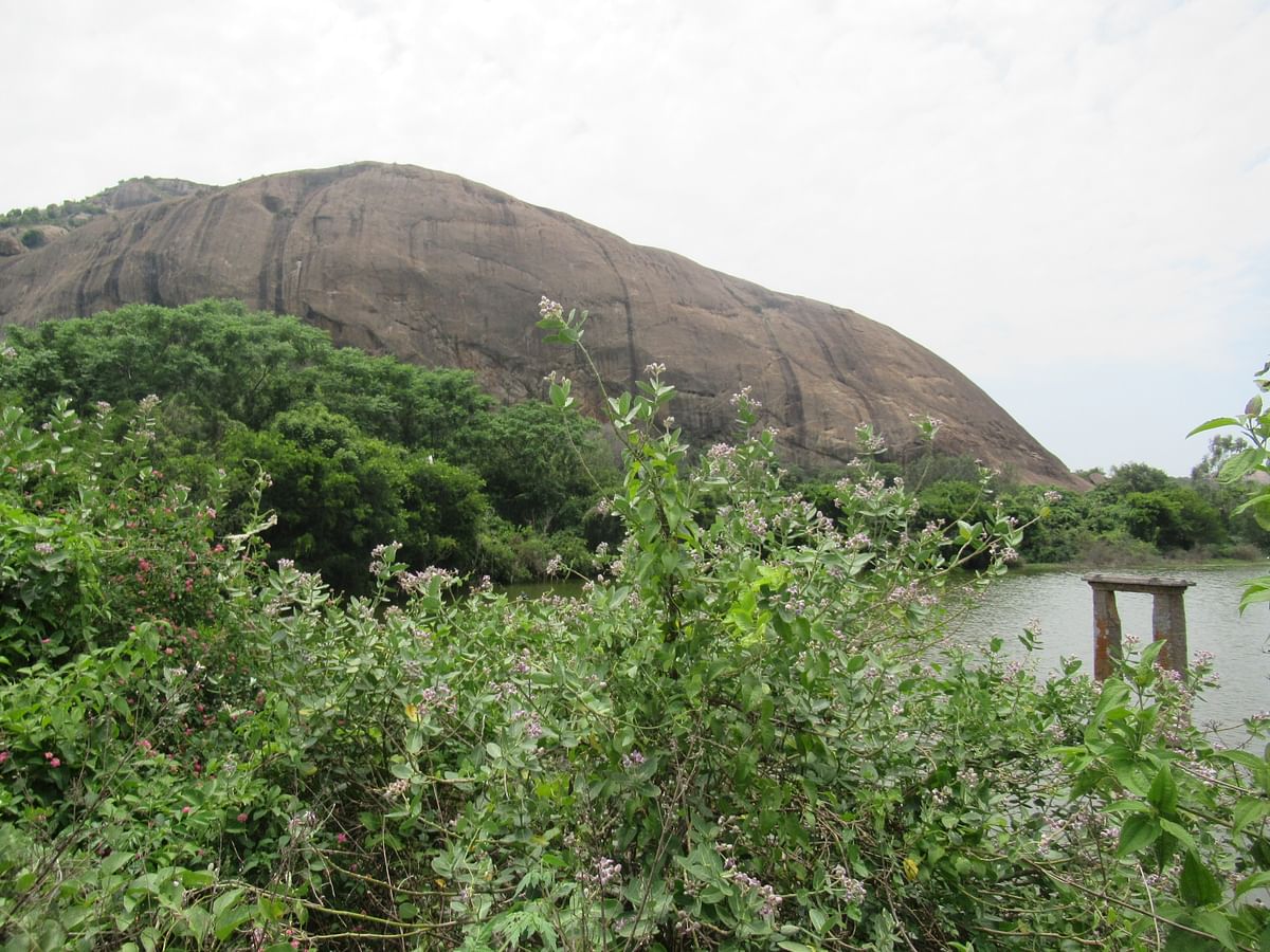 Jalamangala hill and the lake adjacent to it.