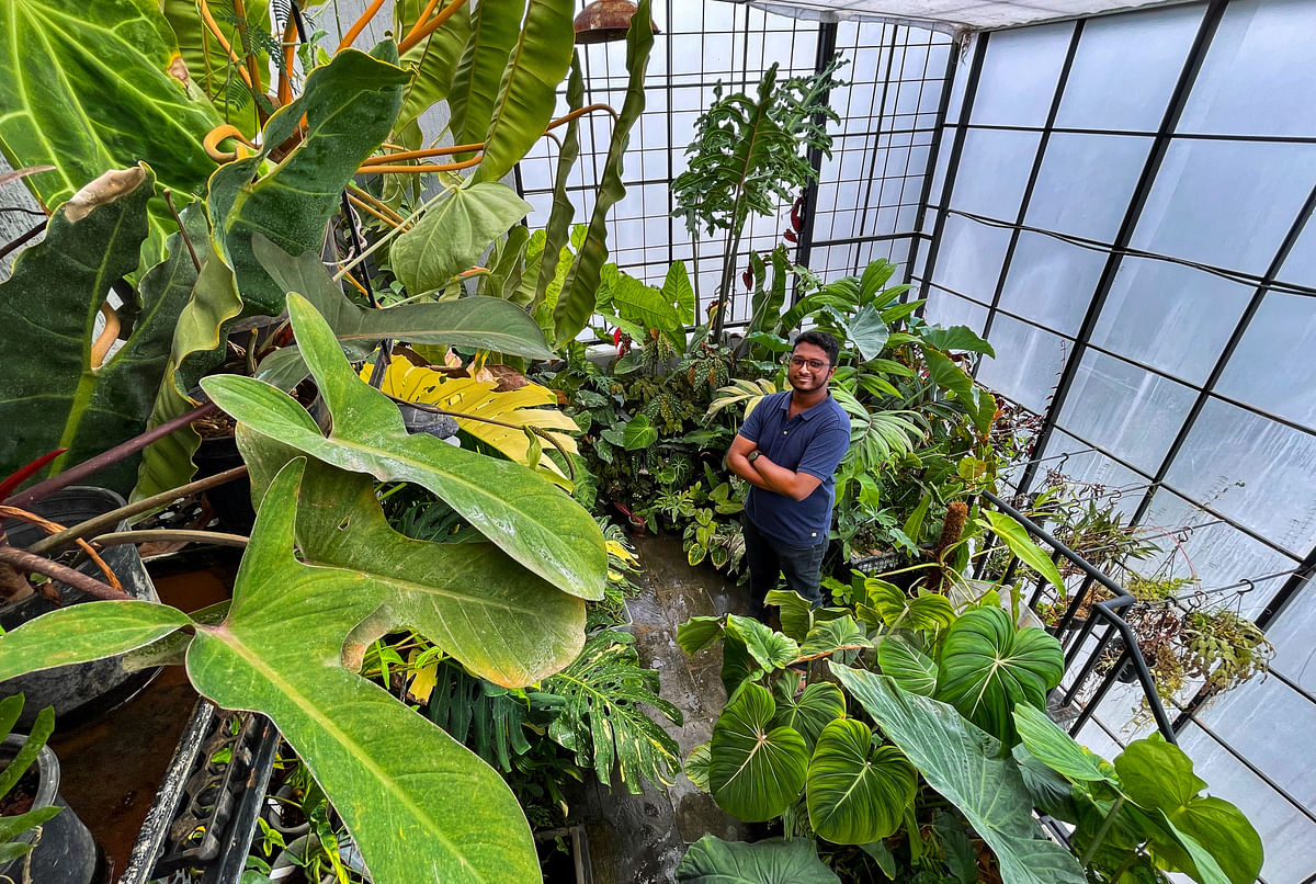 Navneeth Kumar a plant consultant at his greenhouse. Photo by Pushkar V