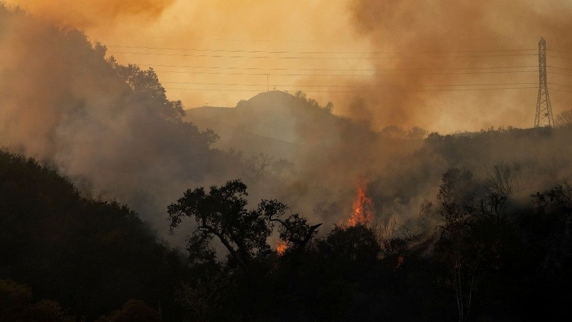 Explained | New playbook to curb wildfires