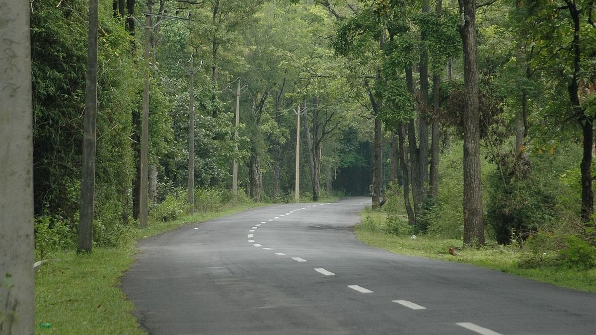MoEF panel returns Magadi-Somwarpet road widening proposal citing lack of clarity