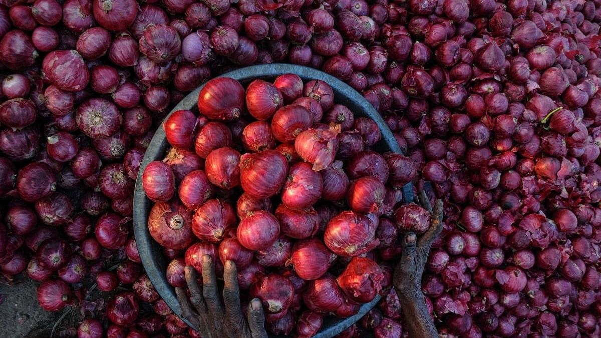 A political alarm rings as onion prices rise