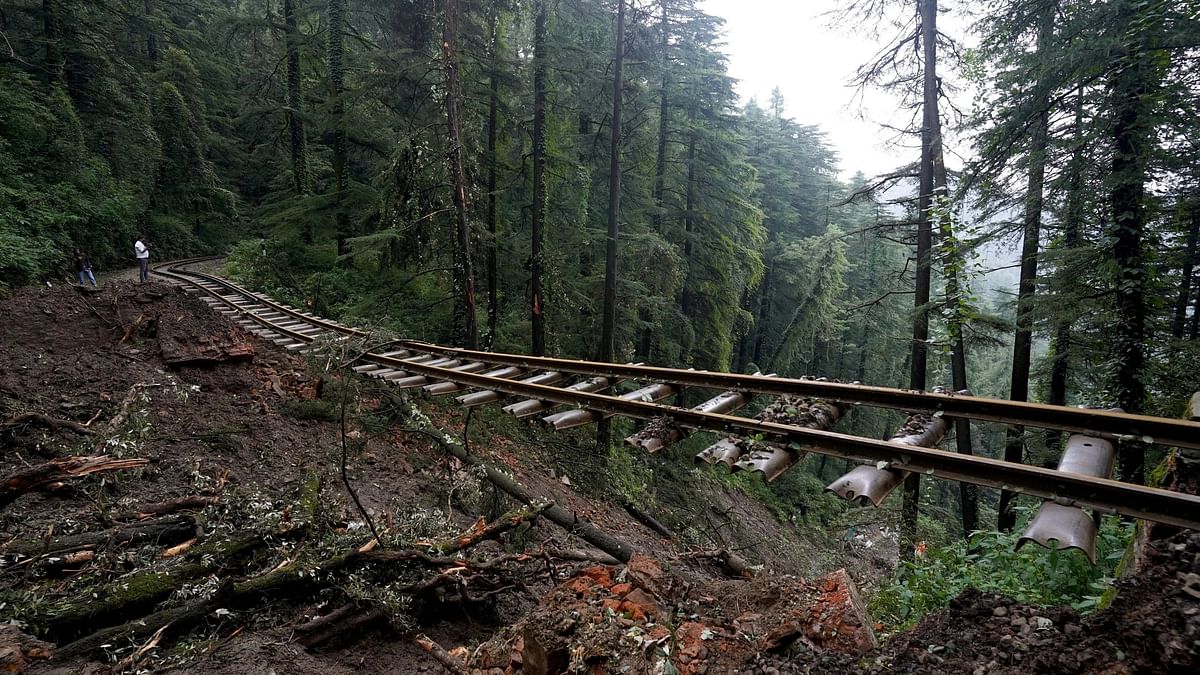 Himachal Pradesh rains: Over 50 stranded people rescued, bridge connecting Baddi-Pinjore washed away