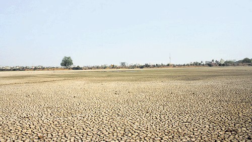 A dry August is cause for worry