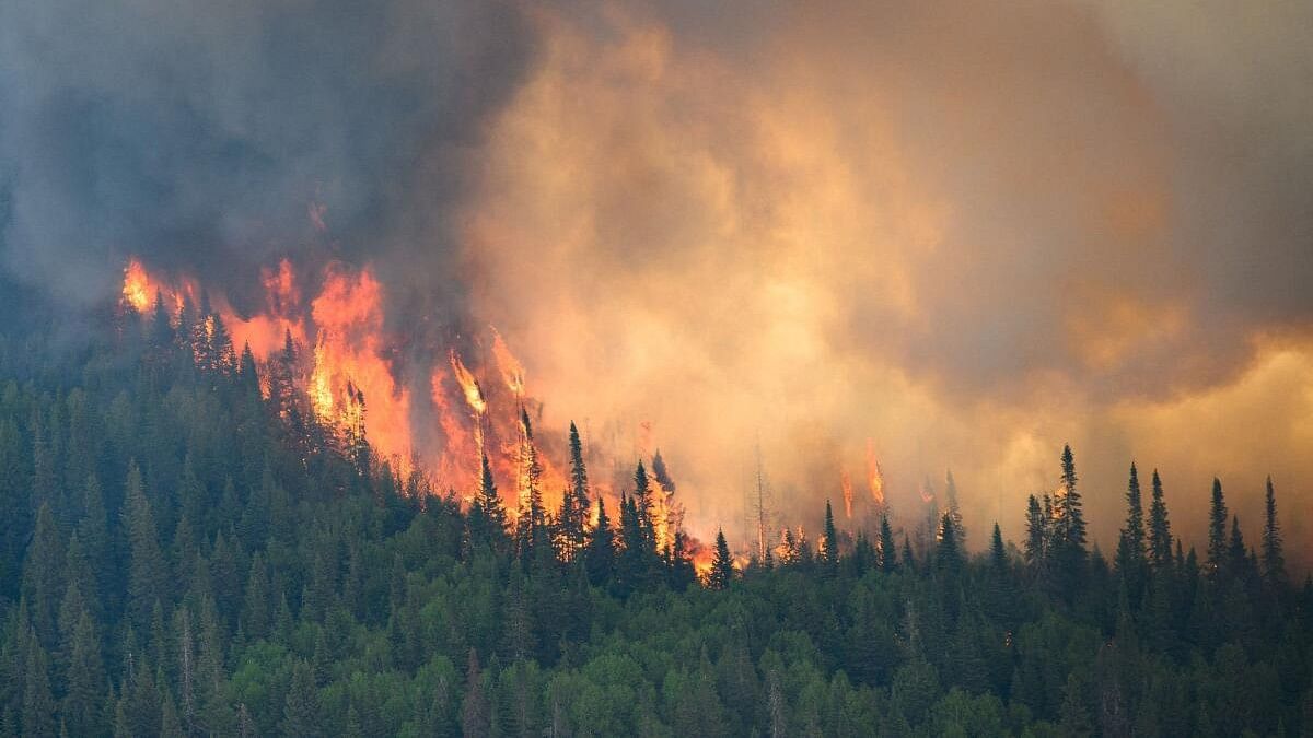 Flames reach upwards along the edge of a wildfire as seen from a Canadian Forces helicopter in Quebec.