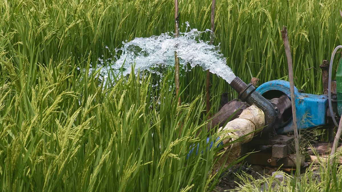 Crops at risk as erratic power supply hits irrigation in Karnataka