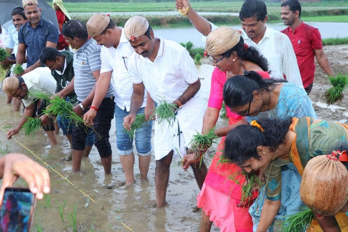 Members of self-help groups engaged in paddy cultivation in Udupi district.
