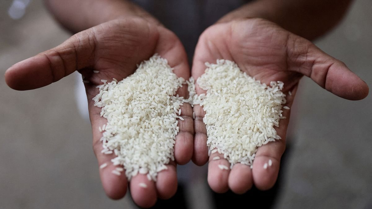 Modi govt weighs continuing free grains programme into election season