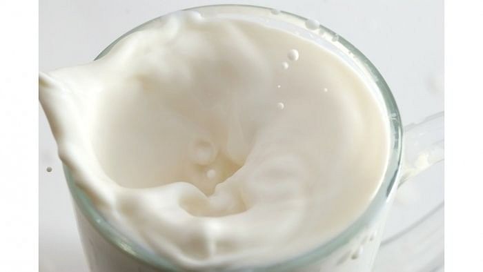 Prices of toned, full-cream milk rose 9-10% in June 2023 compared to 2022: Govt
