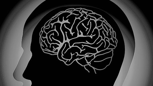 New study identifies gene 'fingerprint' for brain ageing, sheds light on memory decline