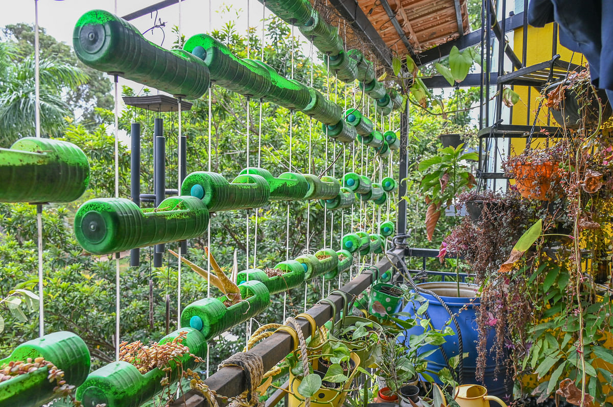 A view of the plants at Sumesh Nayak