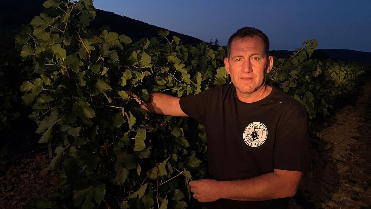 Nothing to toast as Italy loses wine-making leadership to France