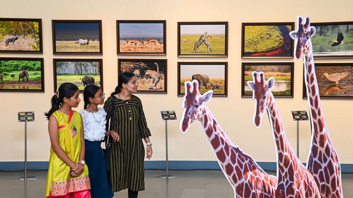 Wildlife week: Photo exhibition revives animal world