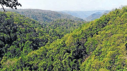 Waive penalty for forest law violations in Western Ghats: KIOCL to govt