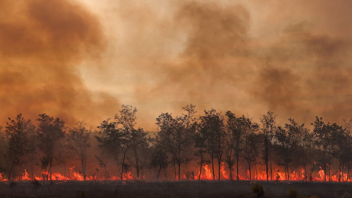 Flames and smoke rise from a tree line as a wildfire burns at the Dadia National Park on the region of Evros, Greece, September 1, 2023.