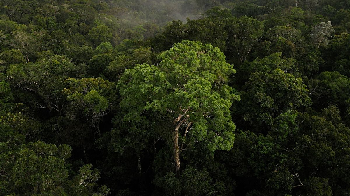 Plane crash in Brazil's Amazon leaves 14 dead