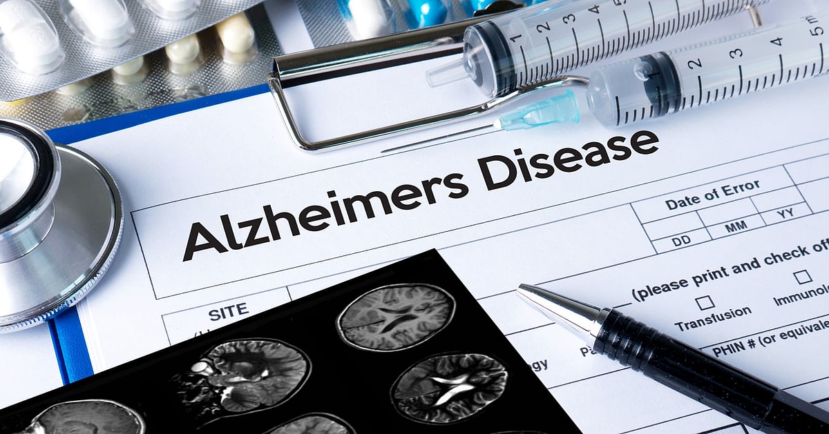 celebrations city today