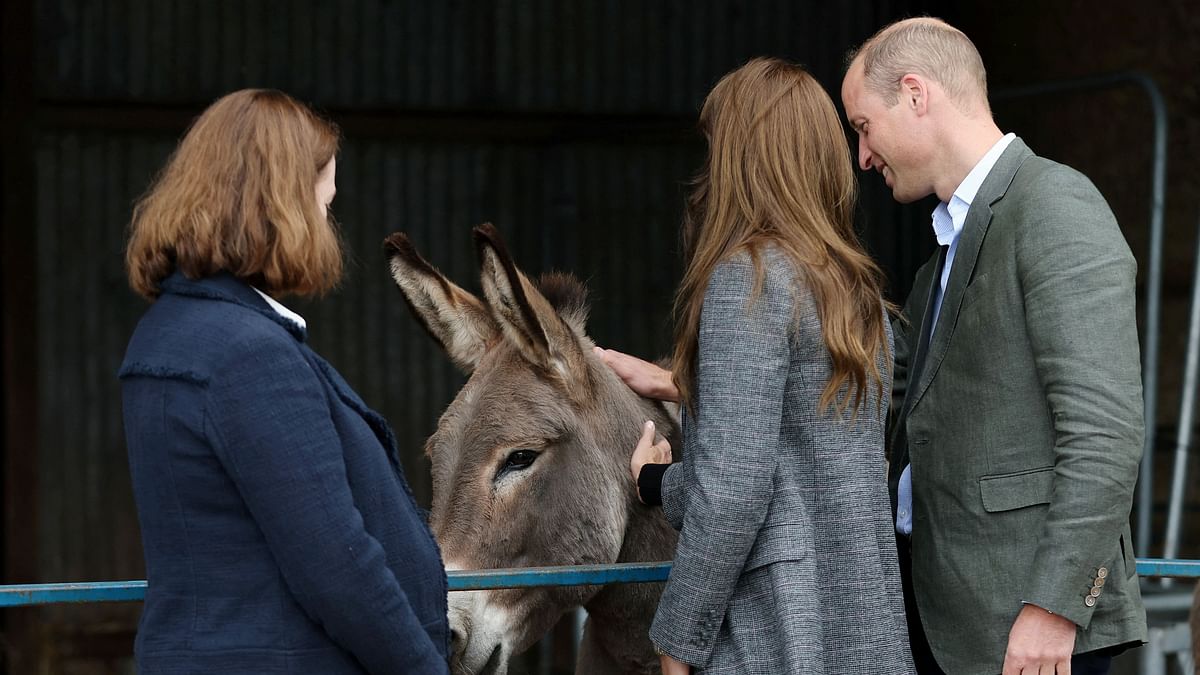Prince William, Prince of Wales and Catherine, Princess of Wales pet a donkey during their visit to We Are Farming Minds charity at Kings Pitt Farm in Hereford, England.