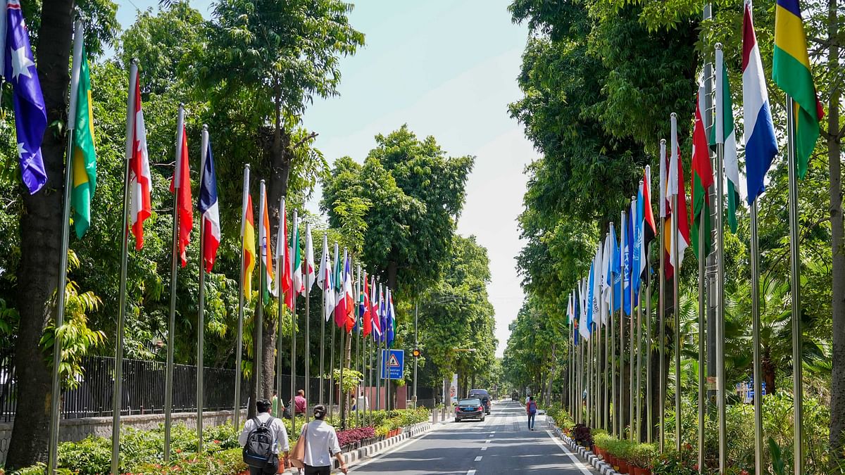 Flags of the countries participating in the upcoming G20 Summit put up near Rajghat, in New Delhi