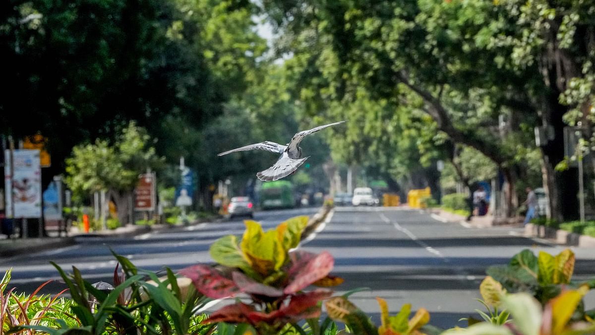 A road wears a deserted look due to restricted traffic  in New Delhi.