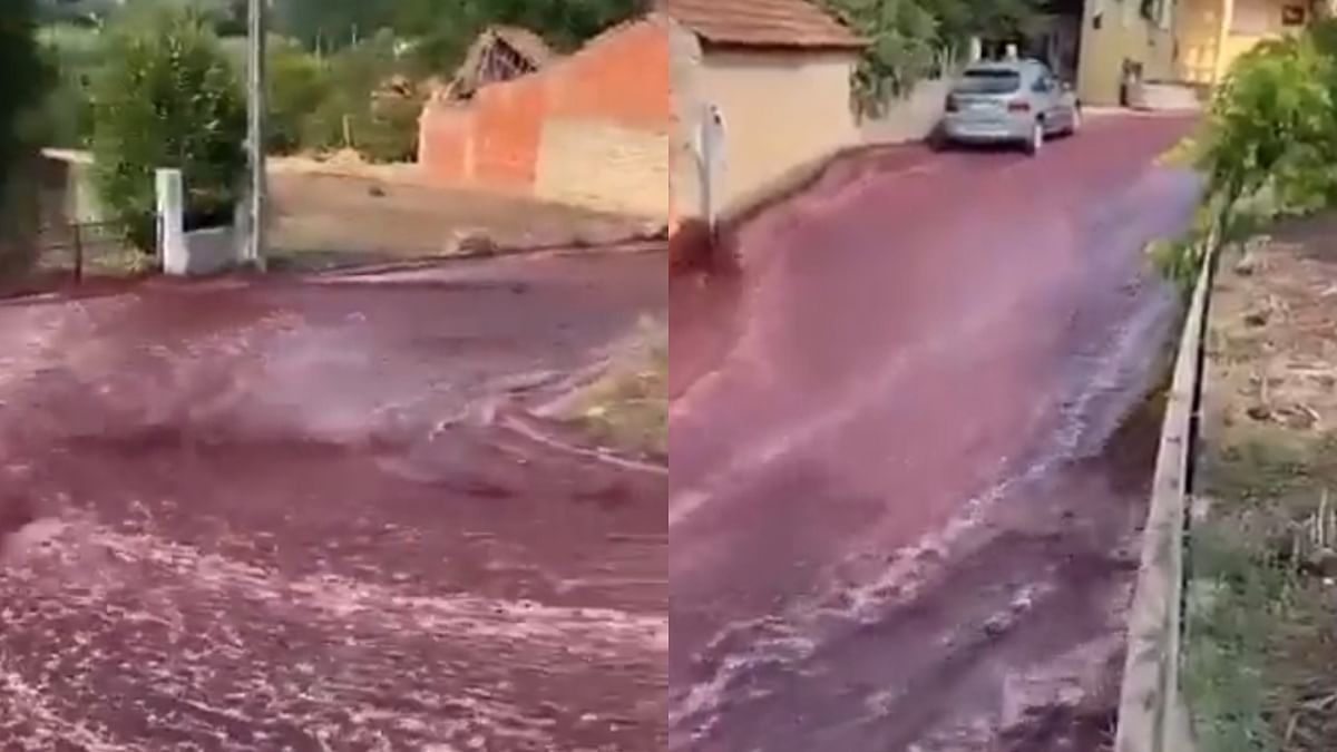 600,000 gallons of wine flood Portuguese town, video goes viral