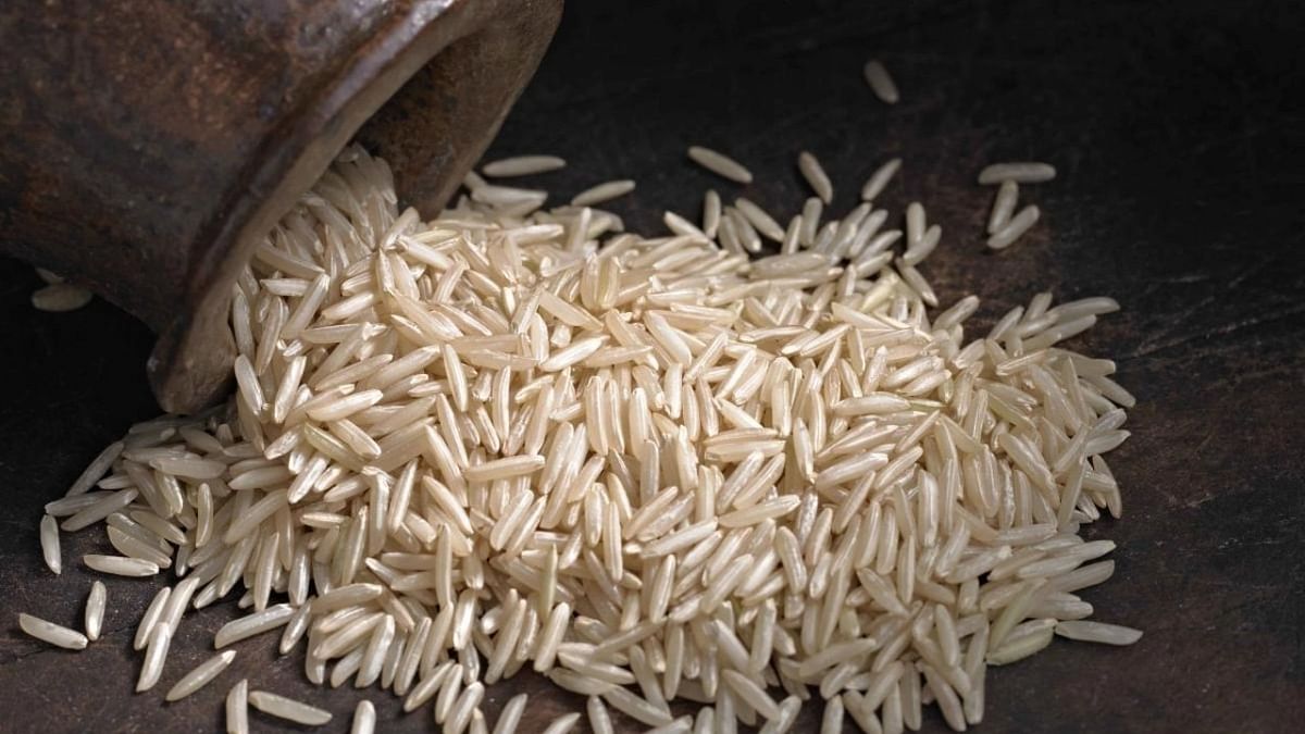 Vietnam to sign inter-government rice pact with Philippines