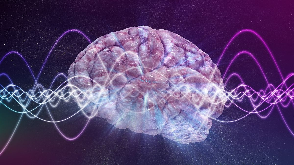 Explained | Why a leading theory on consciousness has been branded ‘pseudoscience’