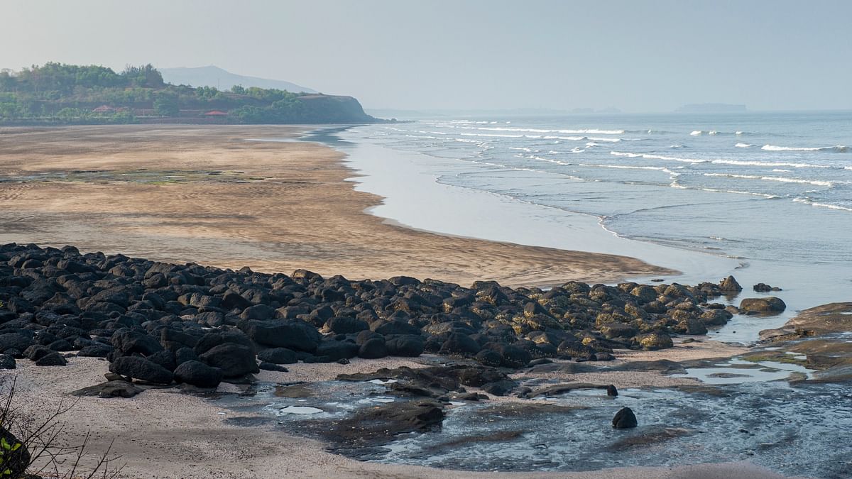 175 more packets containing charas found at beaches in Raigad district in two weeks