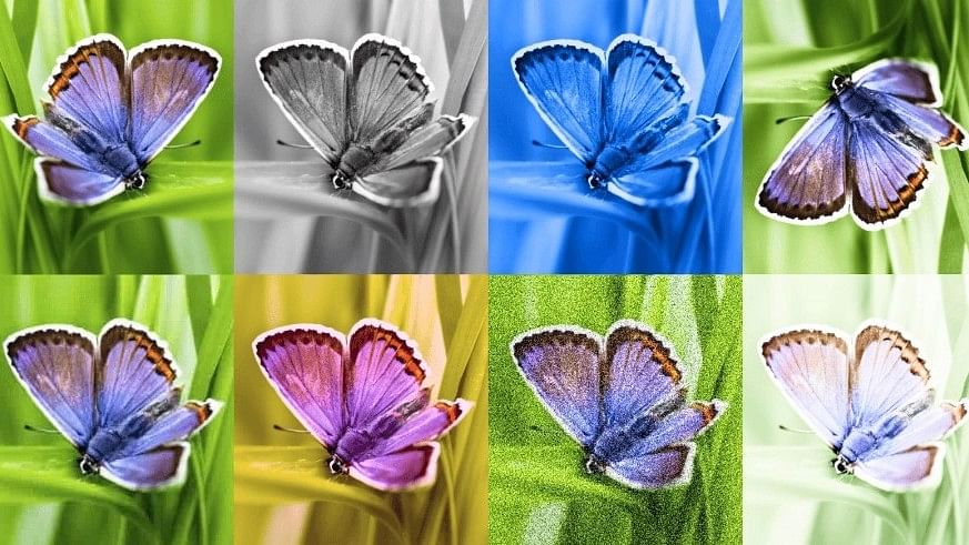 Google DeepMind's SynthID can create a watermark for artificially generated photorealistic images.