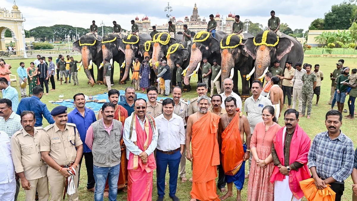 Special pujas offered to Dasara jumbos on Ganesha festival