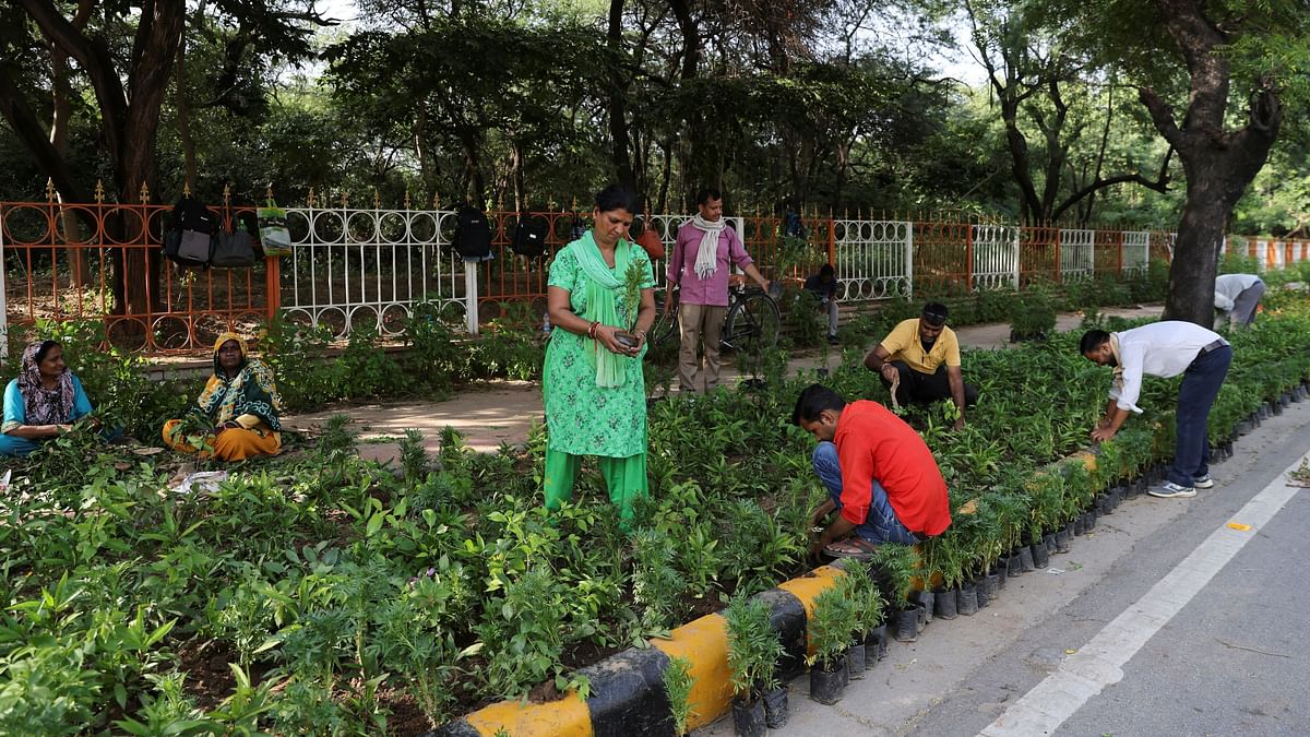 Workers put plants along a roadside pavement ahead of the G20 Summit in New Delhi.
