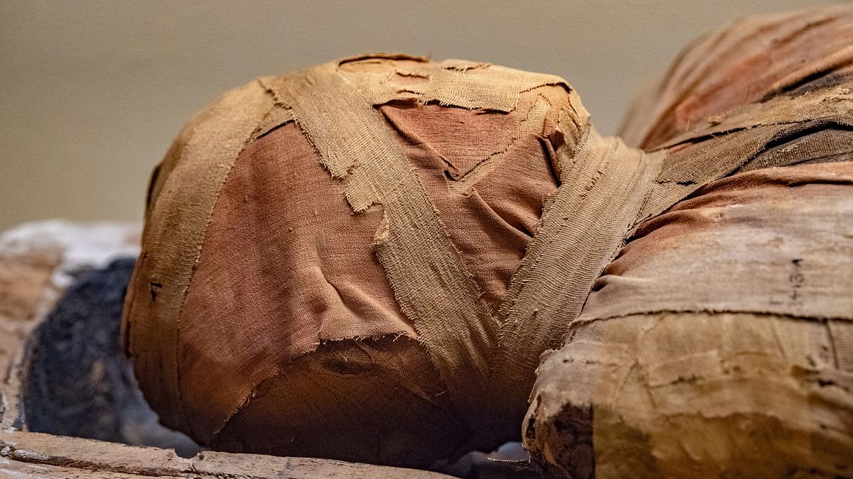 Mummies from outer space? Mexico's Congress gets a firsthand look