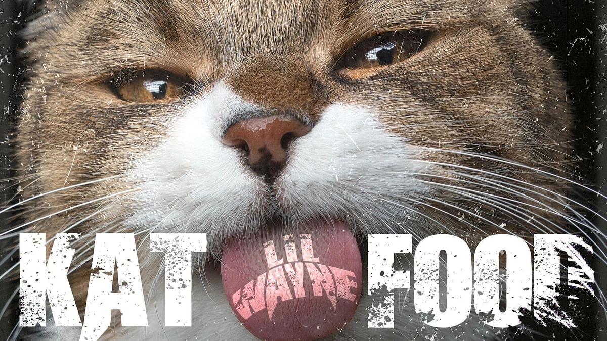 Music icon Lil Wayne releases new single 'Kat Food'