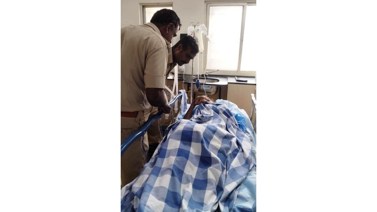 Woman suffers serious injuries after bison attack in Karnataka's Balehonnur