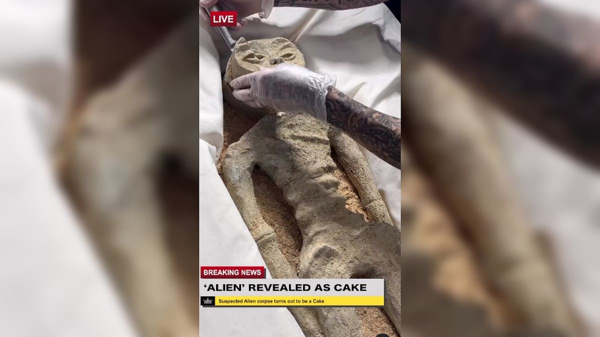 Mexico's alien corpse actually a cake? Baker's post goes viral on social media