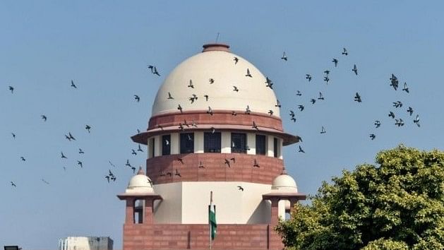 Delhi excise policy case: Supreme Court asks liquor major's executive to surrender by September 25
