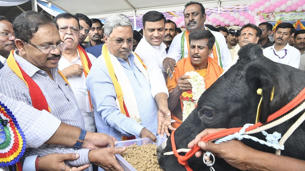 Centre has not released single paise for Upper Bhadra: CM Siddaramaiah