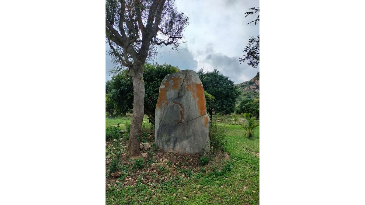 Menhirs of megalithic age discovered in Karnataka's Melkote