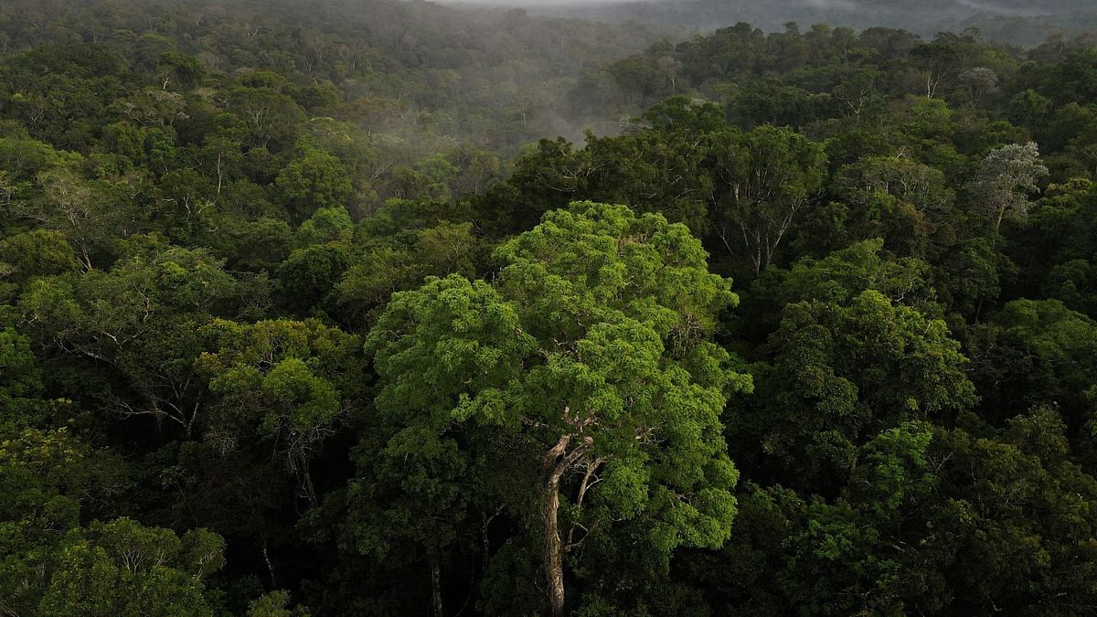 Peru and US strike $20 mn Amazon-focused debt for nature deal