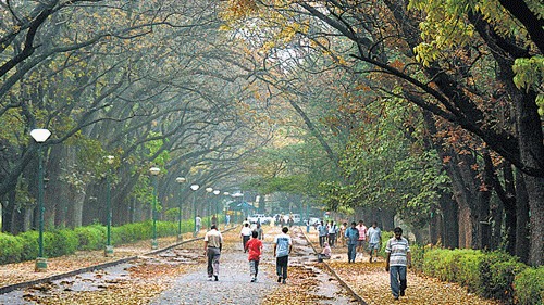 Lalbagh doesn’t read anymore
