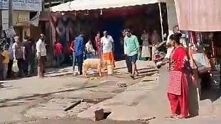 Three booked for slaughtering sheep in public; video goes viral