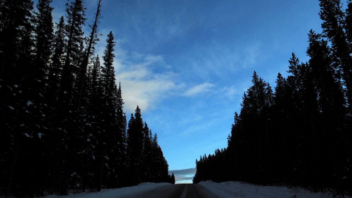 A snow covered road leads up a hill at dusk in Banff National Park near Lake Louise, Alberta. 