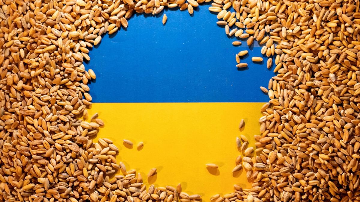 Ukraine optimistic on resolving grain bans of EU neighbours