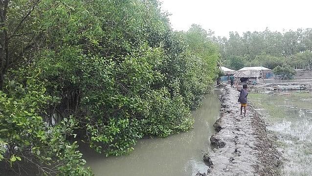 Sundarbans records highest drowning mortality rate among children across globe