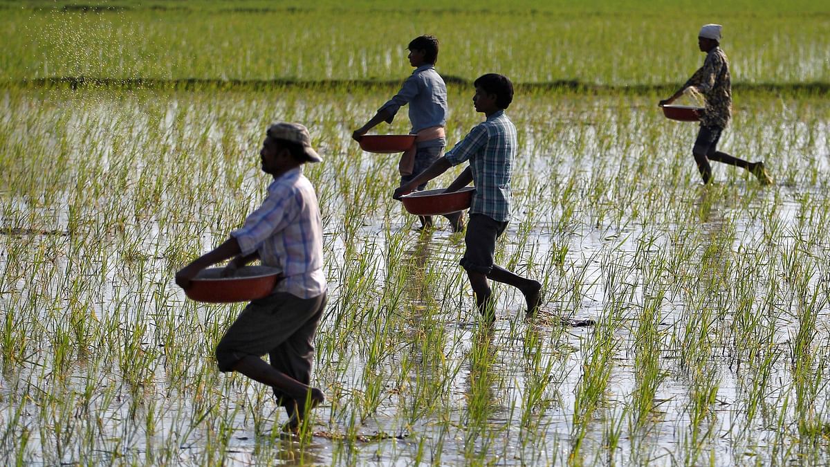 Cabinet approves Rs 22,303 crore fertiliser subsidy for Rabi season