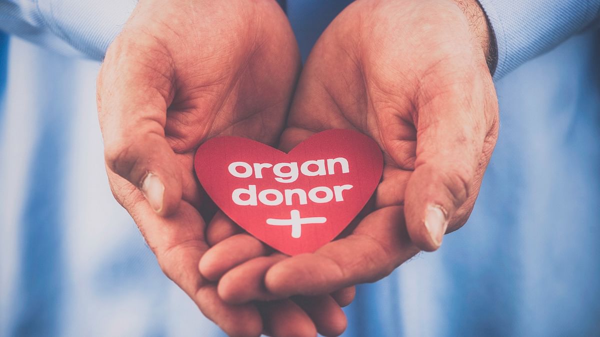Honouring organ donors a good idea