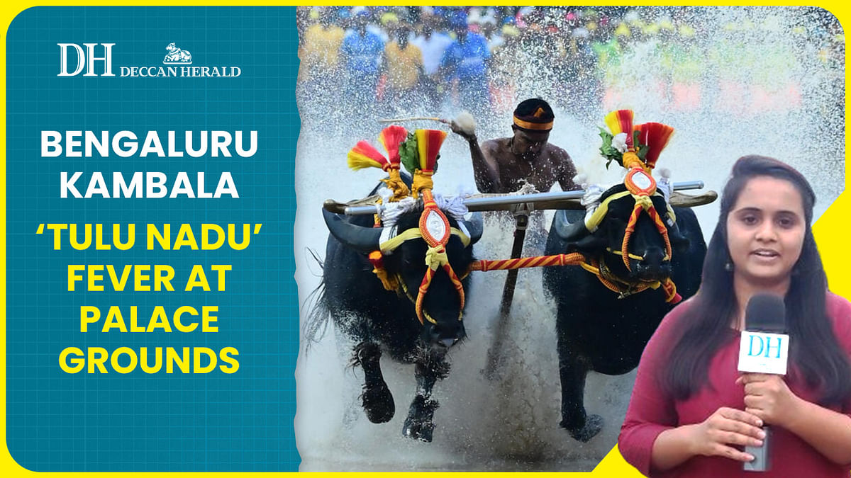 Bengaluru Kambala | A Coastal Karnataka fiesta amid venue hiccups at Palace Grounds